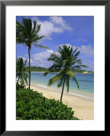Palm Trees And Beach, Half Moon Bay, Antigua, Leeward Islands, Caribbean, West Indies by John Miller Pricing Limited Edition Print image
