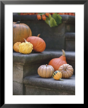 Pumpkins On Stairs by Alena Hrbkova Pricing Limited Edition Print image