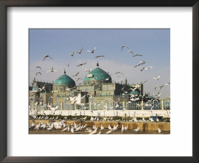 The Famous White Pigeons, Shrine Of Hazrat Ali, Mazar-I-Sharif, Balkh Province, Afghanistan by Jane Sweeney Pricing Limited Edition Print image