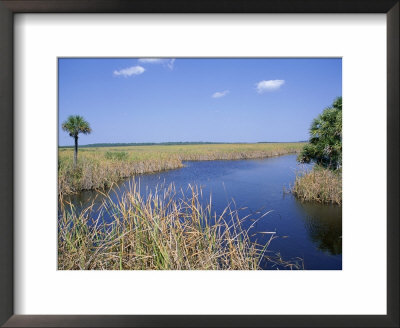 Everglades National Park, Unesco World Heritage Site, Florida, Usa by J Lightfoot Pricing Limited Edition Print image
