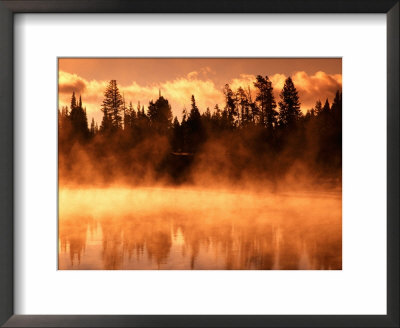 Fishing Bridge Region, Yellowstone National Park, Wyoming by Richard Cummins Pricing Limited Edition Print image