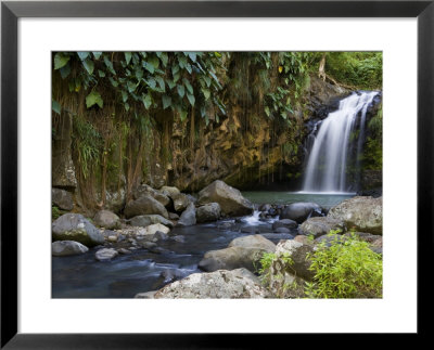 Annandale Falls, Constantine, St. George, Grenada by Holger Leue Pricing Limited Edition Print image