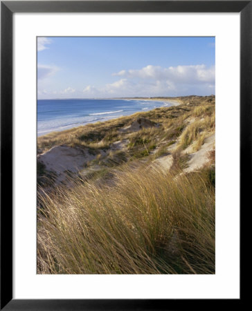 Northern Beach, Chatham Islands Islands by Julia Thorne Pricing Limited Edition Print image