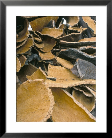 Pile Of Cork Bark For Bottle Corks Etc Stacked To Dry Near Tempio Pausania, Sardinia, Italy by Michael Newton Pricing Limited Edition Print image