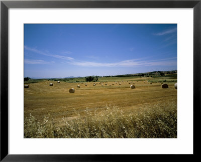 Campidano, Island Of Sardinia, Italy by Oliviero Olivieri Pricing Limited Edition Print image