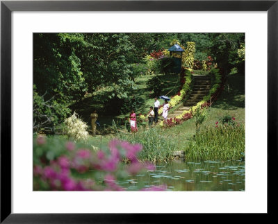 Peradeniya Botanical Gardens, Kandy, Sri Lanka by David Beatty Pricing Limited Edition Print image