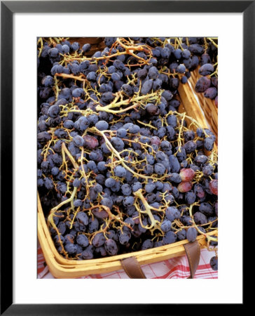 Berries, Ferry Building Farmer's Market, San Fransisco, California, Usa by Inger Hogstrom Pricing Limited Edition Print image
