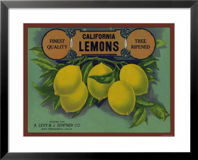 California Lemon by Elizabeth Garrett Pricing Limited Edition Print image