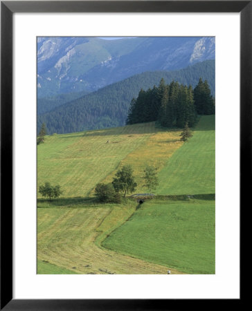 Farmland In The High Tatra Mountains Near Zdiar And Polish Border, Slovakia by Upperhall Pricing Limited Edition Print image