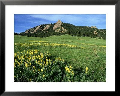 Rocky Mountain Foothills, Usa by Olaf Broders Pricing Limited Edition Print image