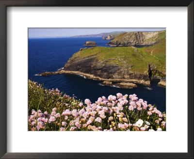 Wildflowers On Rugged Cliffs, Tintagel, Cornwall, England by Glenn Beanland Pricing Limited Edition Print image