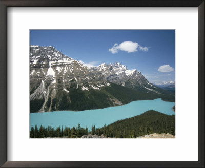 Peyto Lake, Coloured By Glacial Silt, Banff-Jasper National Parks, Canada by Tony Waltham Pricing Limited Edition Print image