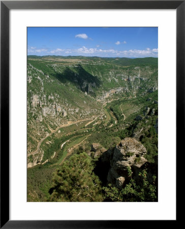 View From Roc Des Hourtous Of The Gorges Du Tarn, Lozere, Languedoc-Roussillon, France by David Hughes Pricing Limited Edition Print image