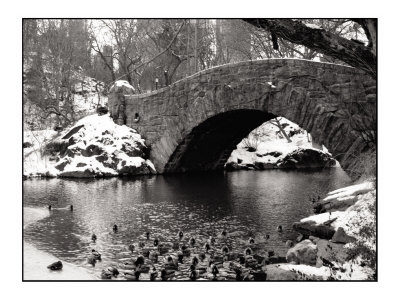 New York Foot Bridge by Jason Graham Pricing Limited Edition Print image