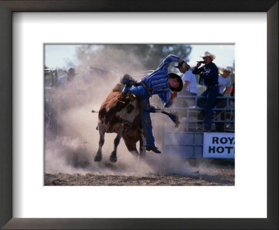 Rodeo Rider Falling Off Bull, New South Wales, Australia by Oliver Strewe Pricing Limited Edition Print image