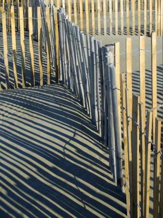 Network Of Wooden Fences Makes A Pattern On Sand Dunes By The Sea, Aigues-Mortes, France by Stephen Sharnoff Pricing Limited Edition Print image