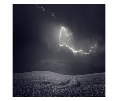 Zootz by Luis Beltran Pricing Limited Edition Print image