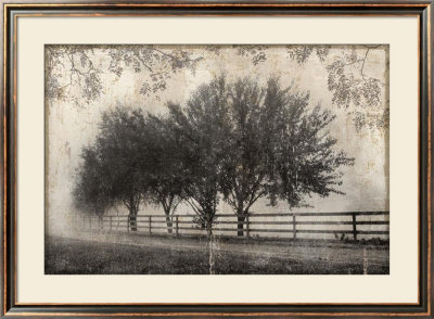 Morning Shades I by Pela & Silverman Pricing Limited Edition Print image