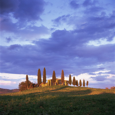 Near Pienza, Tuscany, Italy, Europe by John Miller Pricing Limited Edition Print image
