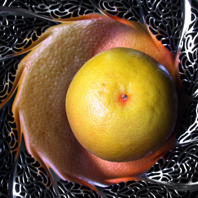 Grapefruit In Silver Bowl by Ilona Wellmann Pricing Limited Edition Print image