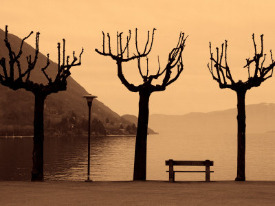 Trees And Bench By Misty Lake, Lago Maggiore, Italy by Ilona Wellmann Pricing Limited Edition Print image