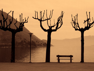 Trees And Bench By Misty Lake, Lago Maggiore, Italy by Ilona Wellmann Pricing Limited Edition Print image