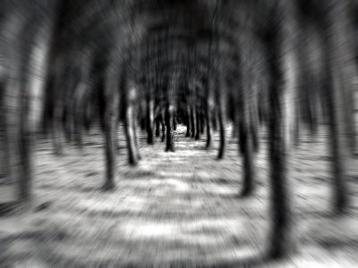 Looking Through A Forest, Digital Zoom Effect by Ilona Wellmann Pricing Limited Edition Print image