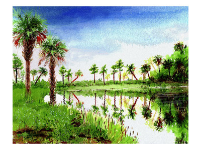 Florida Landscape, Palm Trees Reflected On Water by Images Monsoon Pricing Limited Edition Print image