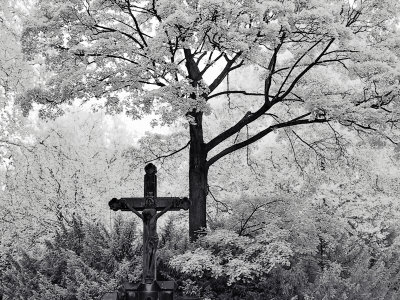 Crucifix Near Tree In Cemetery by Ilona Wellmann Pricing Limited Edition Print image
