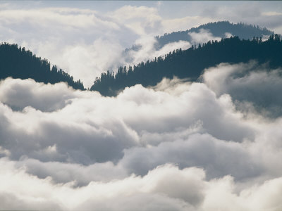 View Of Clouds And Forested Mountains Below One Of Arabika's Peaks by Stephen Alvarez Pricing Limited Edition Print image