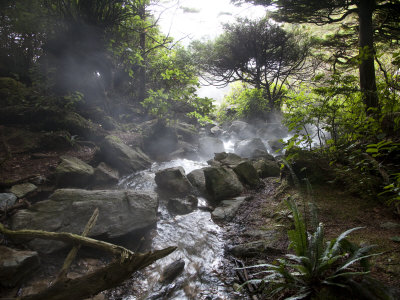 Hotspring Wanders Through The Rainforest by Taylor S. Kennedy Pricing Limited Edition Print image