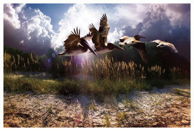 Beach Combers by Steve Hunziker Pricing Limited Edition Print image