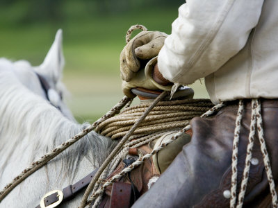 Cowboy On Horseback With Gloves On And Rope In His Hand by Scott Stulberg Pricing Limited Edition Print image