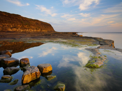 Rockpools At Sunset On Broad Bench, Near Kimmeridge, Dorset, England, United Kingdom, Europe by Adam Burton Pricing Limited Edition Print image