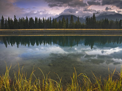 Cascade River, Banff National Park, Alberta, Canada by Adam Burton Pricing Limited Edition Print image