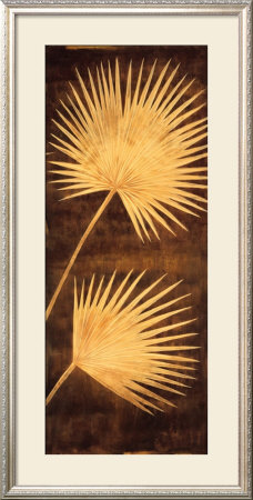 Fan Palm Triptych Iii by David Parks Pricing Limited Edition Print image