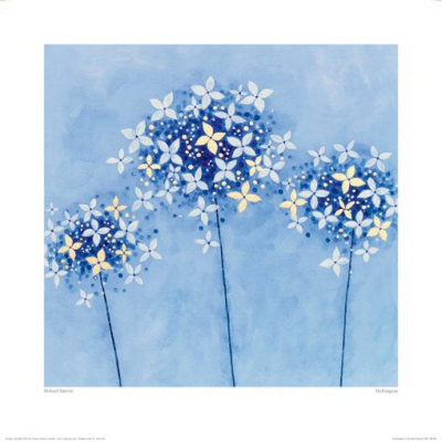 Hydrangeas by Richard Barrett Pricing Limited Edition Print image