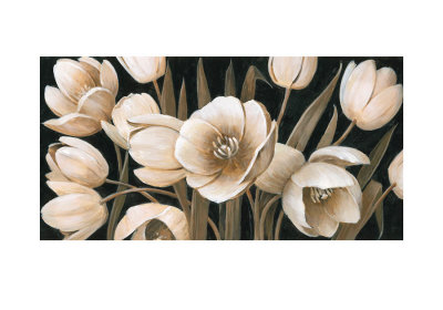 Sepia Tulips by Peter Mcgowan Pricing Limited Edition Print image