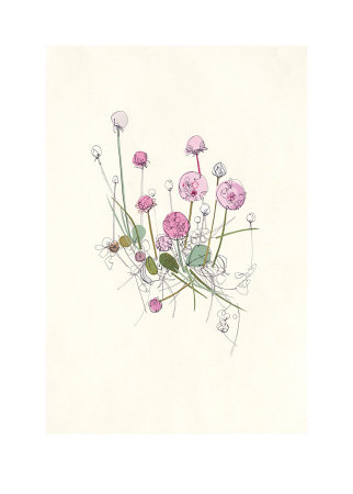 Sea Pinks by Hannah Pontin Pricing Limited Edition Print image