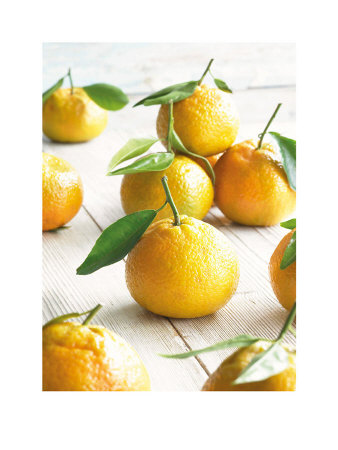 Golden Satsumas by Howard Shooter Pricing Limited Edition Print image