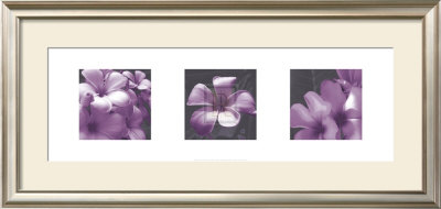 Plumeria by Tony Koukos Pricing Limited Edition Print image