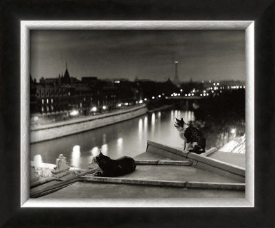 Paris, Cats At Night by Robert Doisneau Pricing Limited Edition Print image