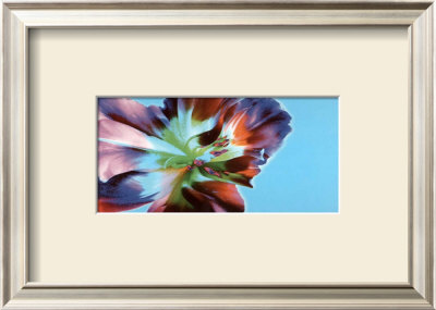 Floral Fantasy Ii by Sigi Loew Pricing Limited Edition Print image