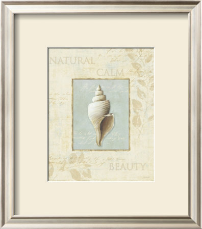 Soothing Words Shells I by Lisa Audit Pricing Limited Edition Print image