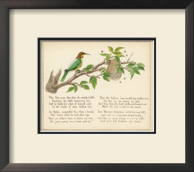 Bee Bird Verse by Nathaniel Tweet Pricing Limited Edition Print image