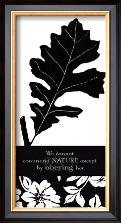 Nature by Stephanie Marrott Pricing Limited Edition Print image
