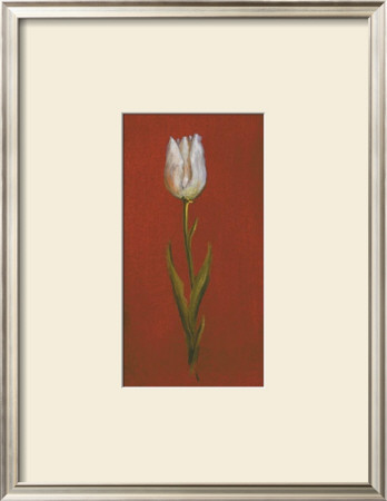 White Tulip by Jose Gomez Pricing Limited Edition Print image