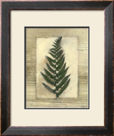 Texturized Fern Ii by Norman Wyatt Jr. Pricing Limited Edition Print image