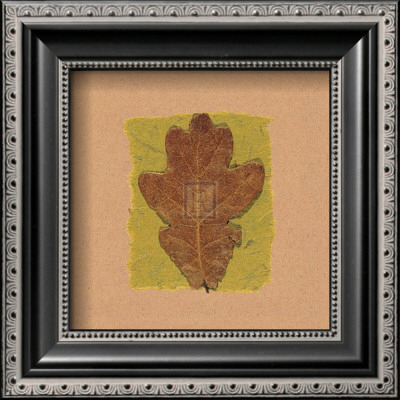 November Leaves Vi by Julie Lavender Pricing Limited Edition Print image