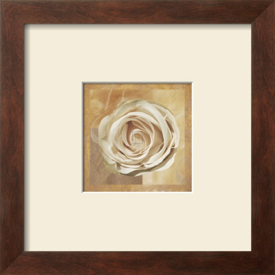 Warm Rose Ii by Malcolm Sanders Pricing Limited Edition Print image